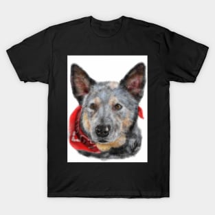 Australian Cattle Dog with a Bandana T-Shirt